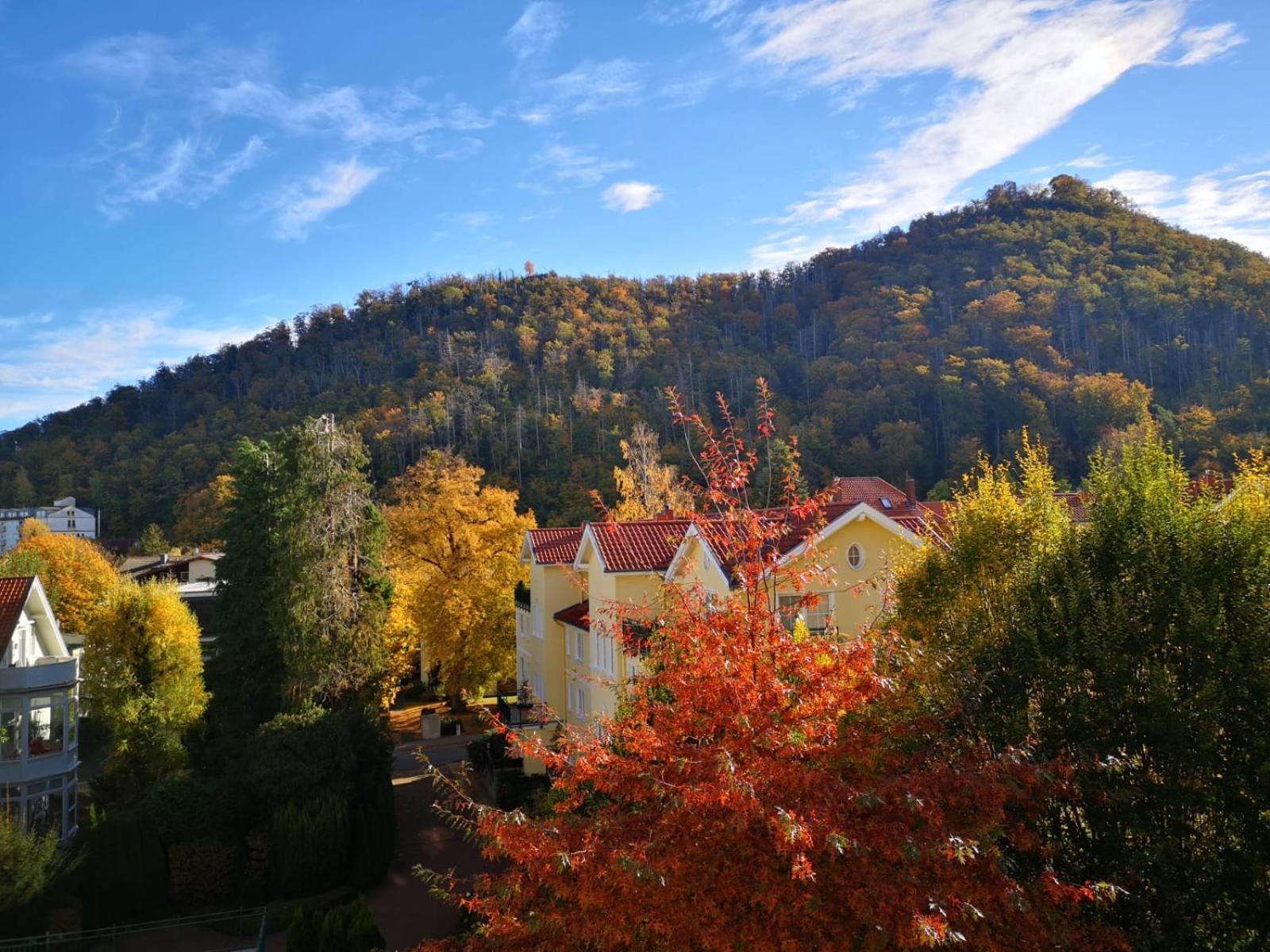 Bergliebe Apartman Bad Harzburg Kültér fotó